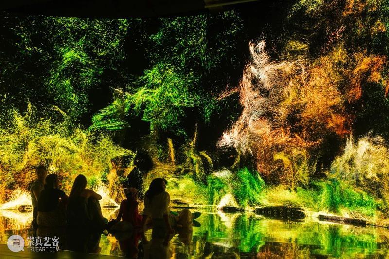 上海·伦敦|浪潮之上 Codes of Tides 多媒体展览 视频资讯 MoCA Shanghai 多媒体 浪潮 之上 上海 伦敦 Tides 伦敦科技周 期间 数据 科技 崇真艺客